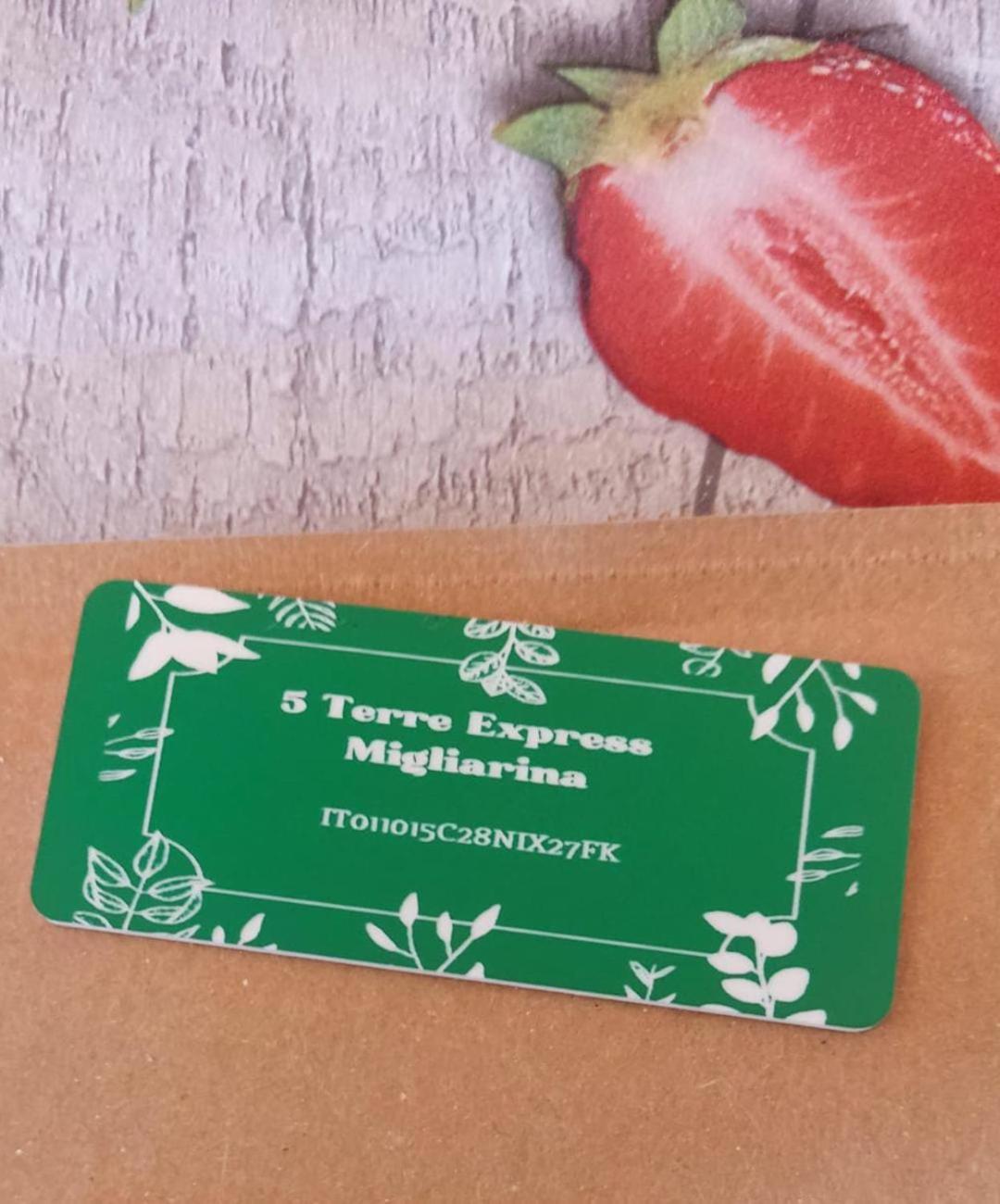 斯培西亚5 Terre Express Migliarina公寓 外观 照片
